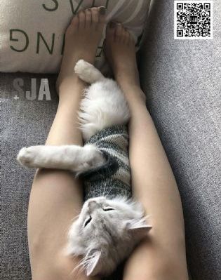 国产原木榆木价格_1080P高清在线观看